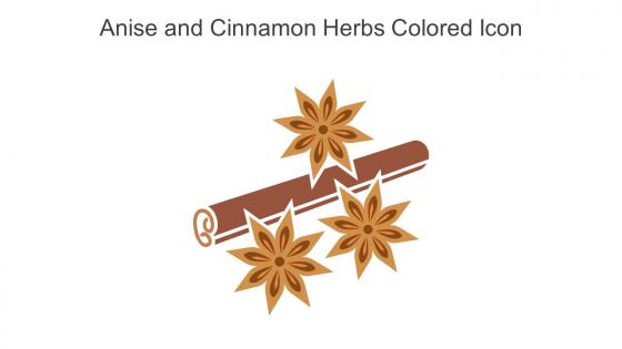 Anise And Cinnamon Herbs Colored Icon In Powerpoint Pptx Png And Editable Eps Format
