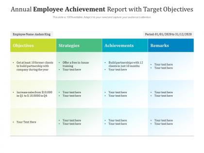 Annual employee achievement report with target objectives