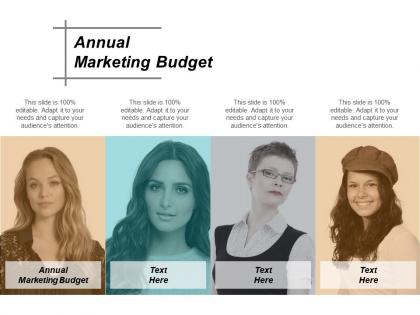 Annual marketing budget ppt powerpoint presentation gallery slide cpb