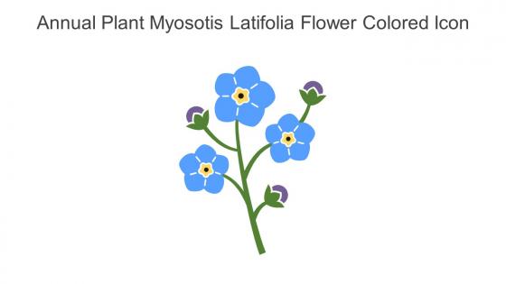 Annual Plant Myosotis Latifolia Flower Colored Icon In Powerpoint Pptx Png And Editable Eps Format