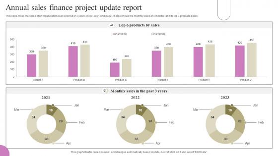 Annual Sales Finance Project Update Report