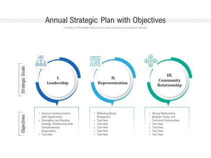 Annual strategic plan with objectives