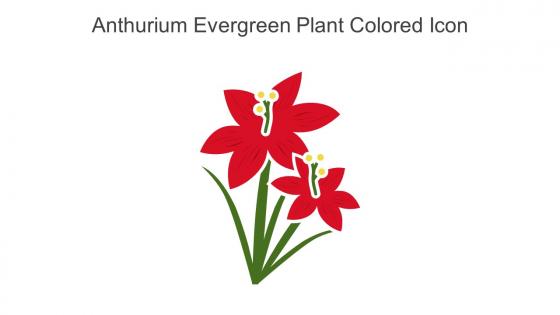 Anthurium Evergreen Plant Colored Icon In Powerpoint Pptx Png And Editable Eps Format