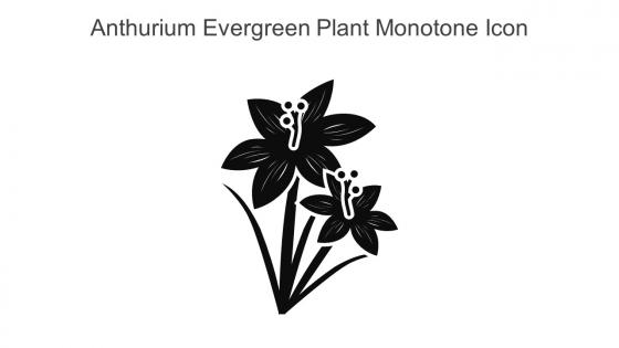 Anthurium Evergreen Plant Monotone Icon In Powerpoint Pptx Png And Editable Eps Format