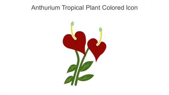 Anthurium Tropical Plant Colored Icon In Powerpoint Pptx Png And Editable Eps Format