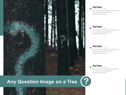 Any question image on a tree