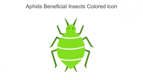 Aphids Beneficial Insects Colored Icon In Powerpoint Pptx Png And Editable Eps Format