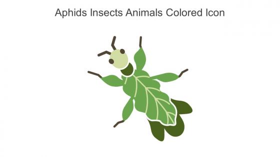Aphids Insects Animals Colored Icon In Powerpoint Pptx Png And Editable Eps Format