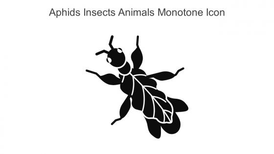 Aphids Insects Animals Monotone Icon In Powerpoint Pptx Png And Editable Eps Format
