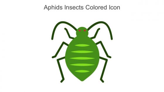 Aphids Insects Colored Icon In Powerpoint Pptx Png And Editable Eps Format