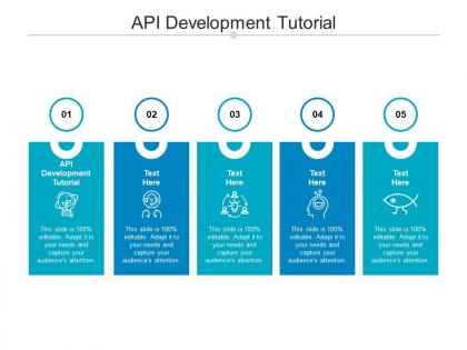 Api development tutorial ppt powerpoint presentation infographics diagrams cpb