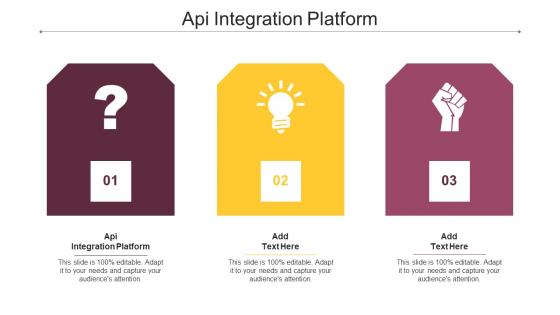 Api Integration Platform Ppt Powerpoint Presentation File Gridlines Cpb
