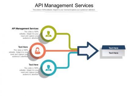 Api management services ppt powerpoint presentation layouts picture cpb