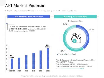 Api market potential application interface management market