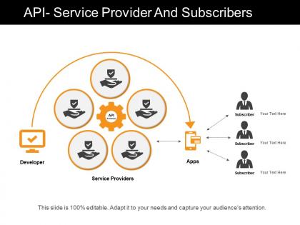 Api service provider and subscribers