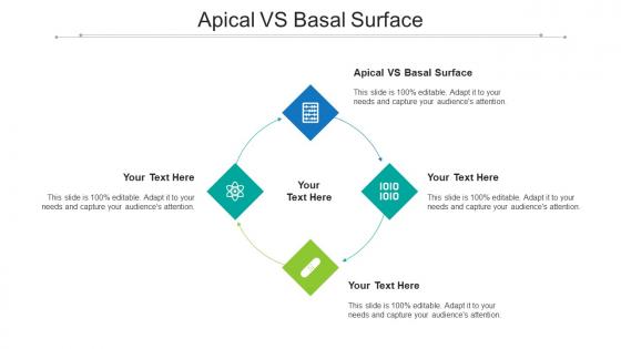 Apical Vs Basal Surface Ppt Powerpoint Presentation Layouts Infographics Cpb