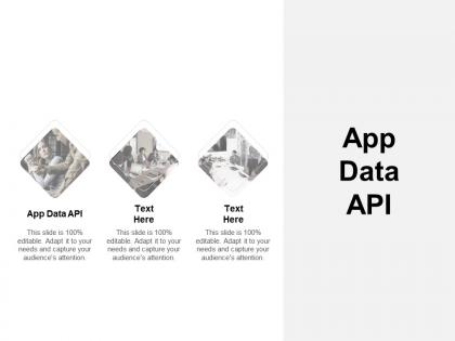 App data api ppt powerpoint presentation summary styles cpb