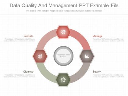 App data quality and management ppt example file
