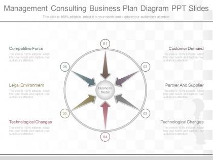 App management consulting business plan diagram ppt slides