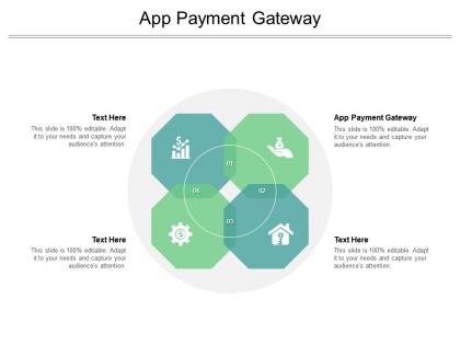 App payment gateway ppt powerpoint presentation summary microsoft cpb
