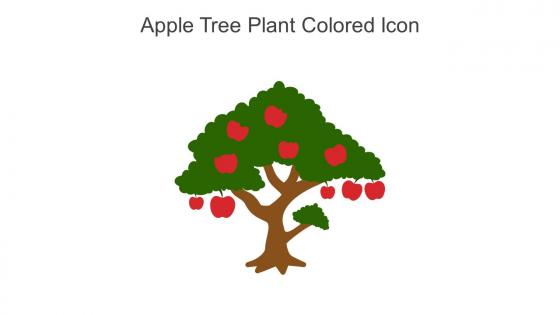 Apple Tree Plant Colored Icon In Powerpoint Pptx Png And Editable Eps Format