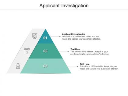 Applicant investigation ppt powerpoint presentation gallery graphics tutorials cpb