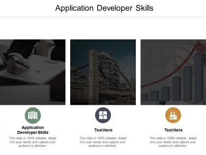Application developer skills ppt powerpoint presentation layouts cpb