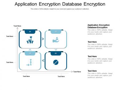 Application encryption database encryption ppt powerpoint presentation infographics slides cpb