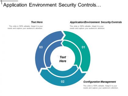 Application environment security controls configuration management malicious software