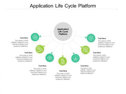 Application life cycle platform ppt powerpoint presentation styles icons cpb