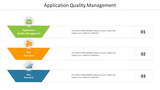 Application quality management ppt powerpoint presentation slides file formats cpb