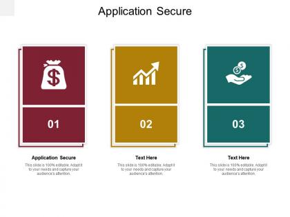 Application secure ppt powerpoint presentation file infographic template cpb