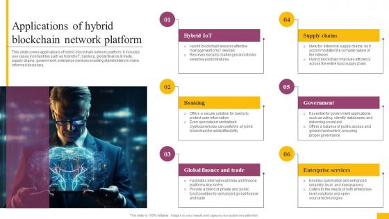 Applications Of Hybrid Blockchain Network Platform Complete Guide To Understand BCT SS