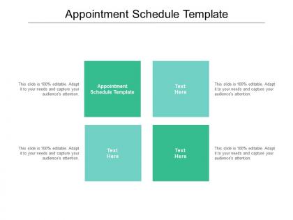 Appointment schedule template ppt powerpoint presentation pictures influencers cpb