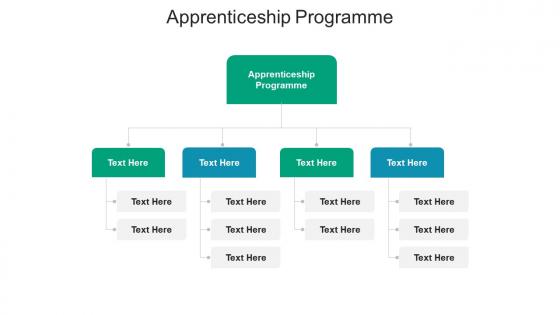 Apprenticeship programme ppt powerpoint presentation pictures demonstration cpb