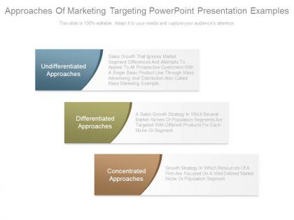 Approaches of marketing targeting powerpoint presentation examples