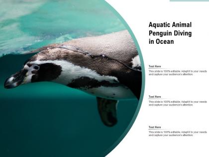 Aquatic animal penguin diving in ocean