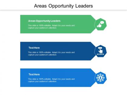 Areas opportunity leaders ppt powerpoint presentation professional infographics cpb