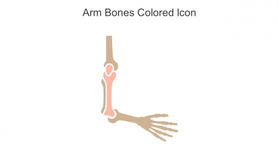 Arm Bones Colored Icon In Powerpoint Pptx Png And Editable Eps Format