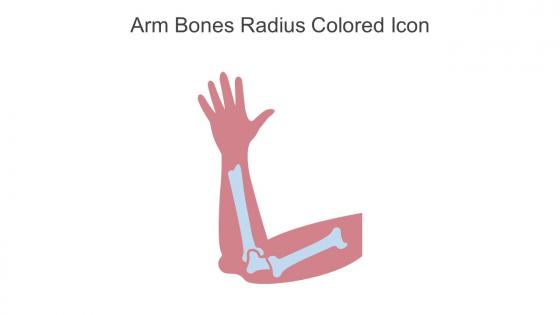 Arm Bones Radius Colored Icon In Powerpoint Pptx Png And Editable Eps Format