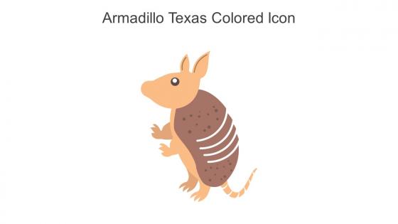 Armadillo Texas Colored Icon In Powerpoint Pptx Png And Editable Eps Format