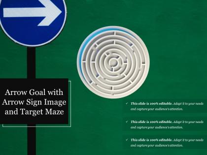 Arrow goal with arrow sign image and target maze