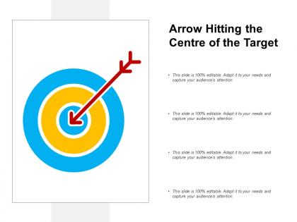 Arrow hitting the centre of the target