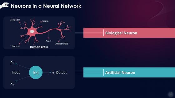Artificial Neurons In A Neural Network Training Ppt