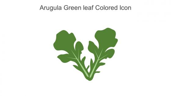 Arugula Green Leaf Colored Icon In Powerpoint Pptx Png And Editable Eps Format