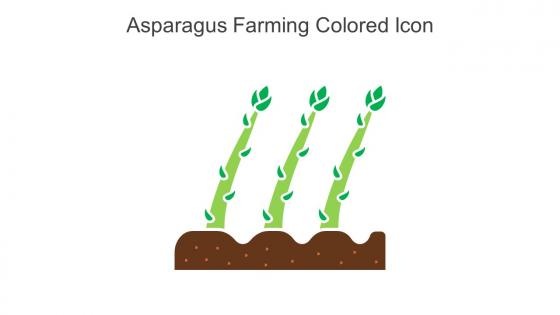 Asparagus Farming Colored Icon In Powerpoint Pptx Png And Editable Eps Format