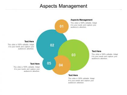 Aspects management ppt powerpoint presentation infographic template display cpb