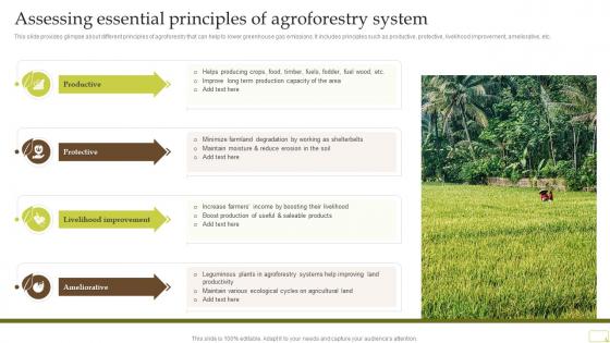 Assessing Essential Principles Of Agroforestry System Complete Guide Of Sustainable Agriculture Practices