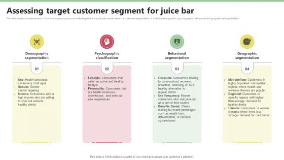 Assessing Target Customer Segment For Juice Bar Nekter Juice And Shakes Bar Business Plan Sample BP SS