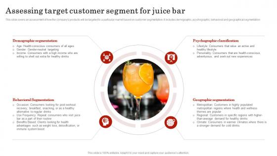Assessing Target Customer Segment For Smoothie Bar Business Plan BP SS